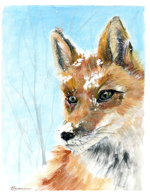 Fox In Snow by Olga Shefranov (Tchefranov)