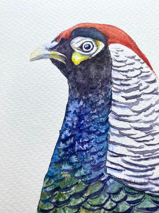 Set of three pheasant