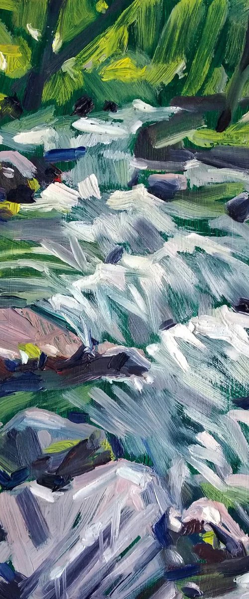 Small forest waterfall by Natalia Miasnikova