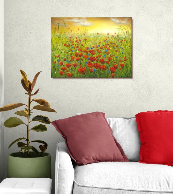 Sunset at the poppy field
