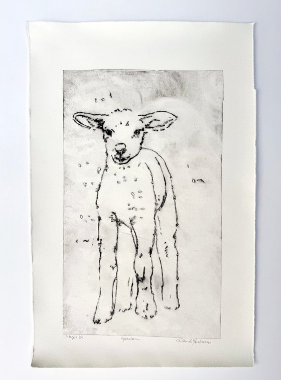 LuckyLamb
