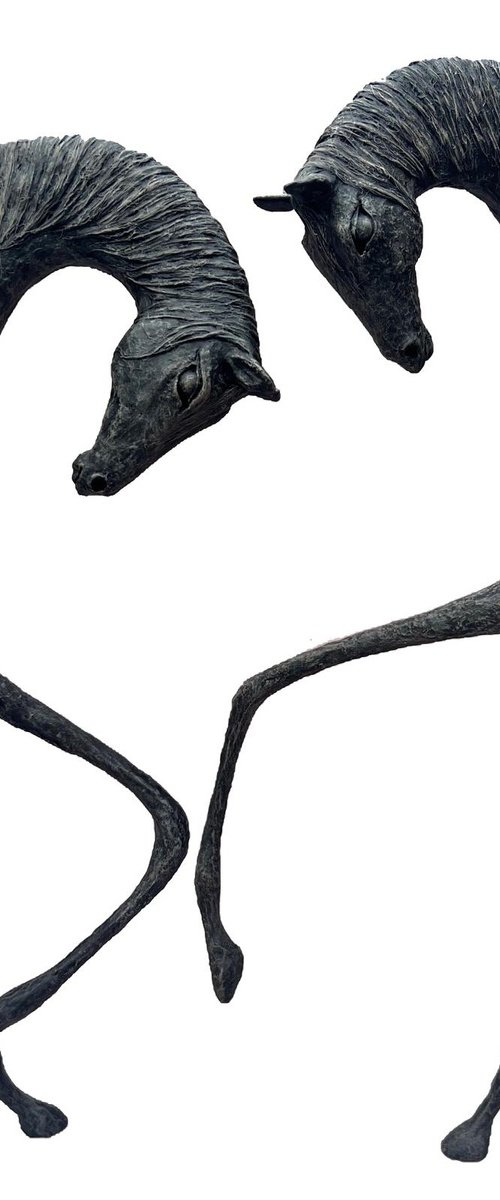 Maysa and Sahar by Alexandra Shorey