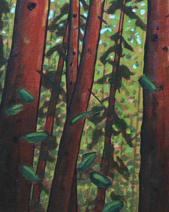 Trees of the Forest