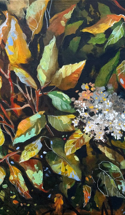 Between Summer and Fall by Maria Kireev