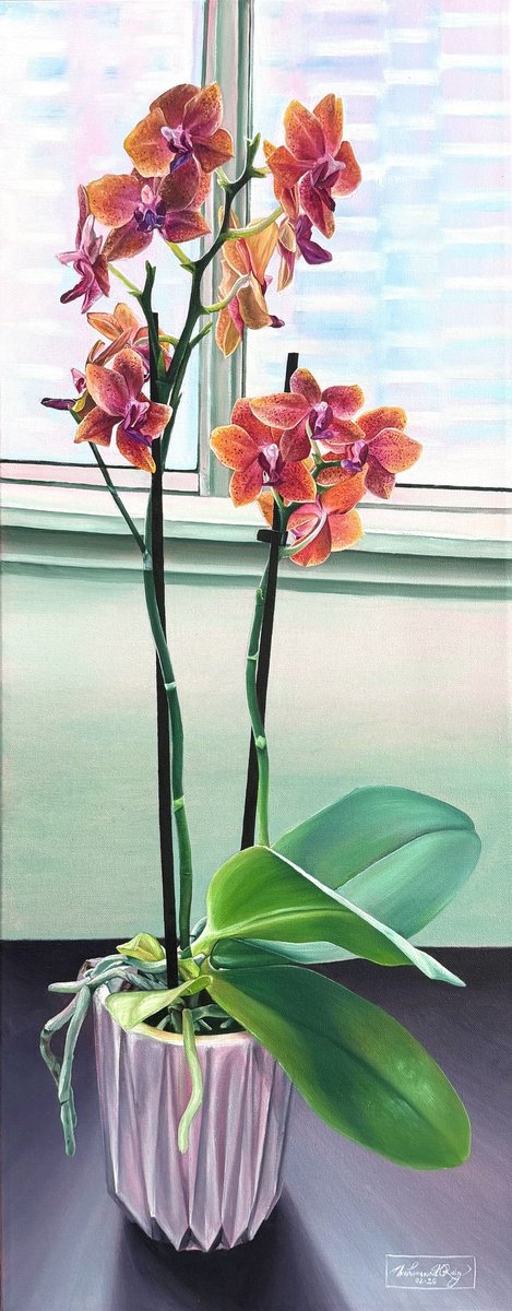 Photorealistic Oil Painting , Orchid By Amani Muhammad, 12 X 30, Artwork For Sale On Artfinder