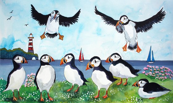 Puffins