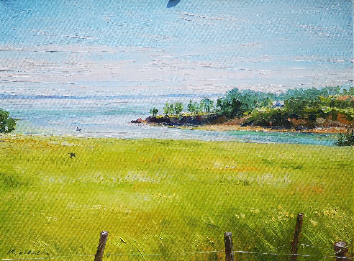 Impressionistic Landscape Oil Painting By Alexander Koltakov, 24 X 18, Parrsboro, Plein Air, Original Artwork