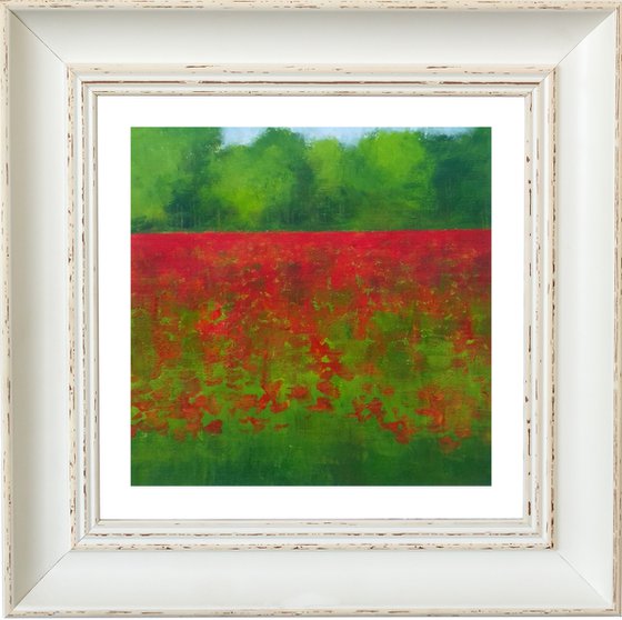 Field of Poppies IV