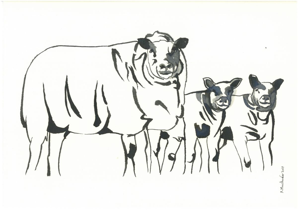 Sheep I Animal Drawing by Ricardo Machado