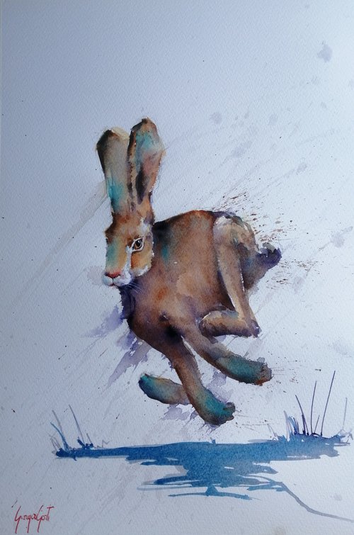 hare 11 by Giorgio Gosti