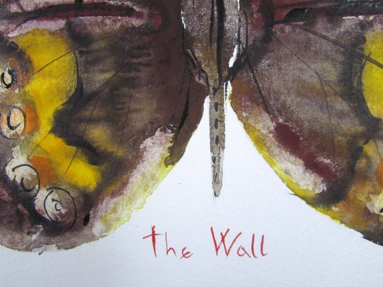 The Wall (Pararge Megaera)