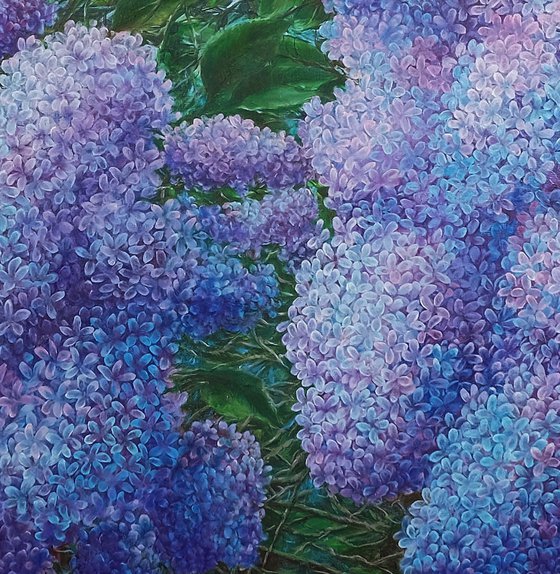 Sea of Lilacs