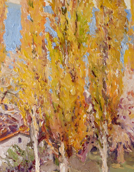 Poplars, Fall