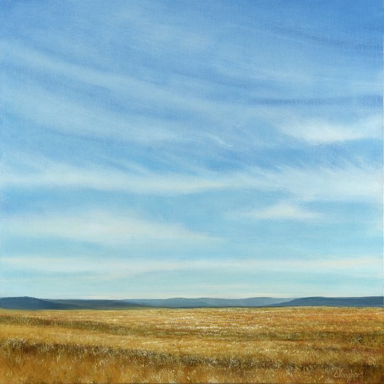 Summer Field - Blue Sky Landscape