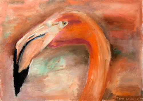 Flamingo by Ryan  Louder