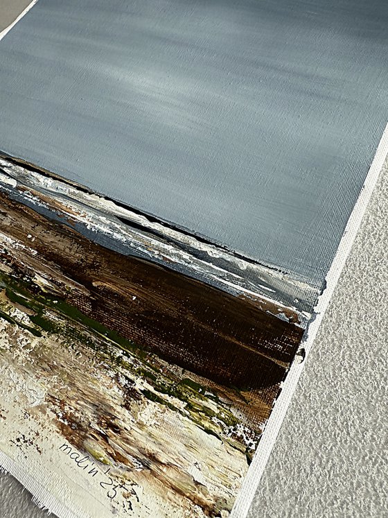 Coastal Fields in Grey Light