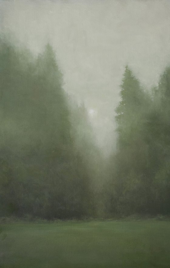 Misty Forest 210627, evergreen trees tonal landscape