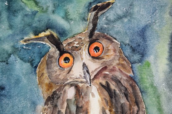 Owl watercolor painting, bird original artwork, nursery wall art