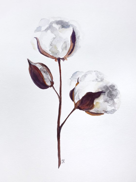 Set of 2 COTTON bolls watercolor paintings, Flowers abstract, Shabby Chic wall art