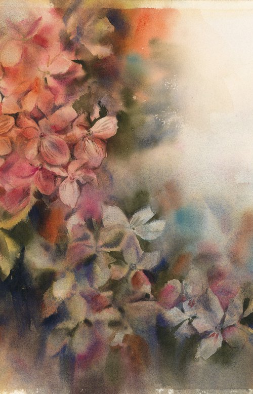 Pink Hydrangea by Sophie Rodionov