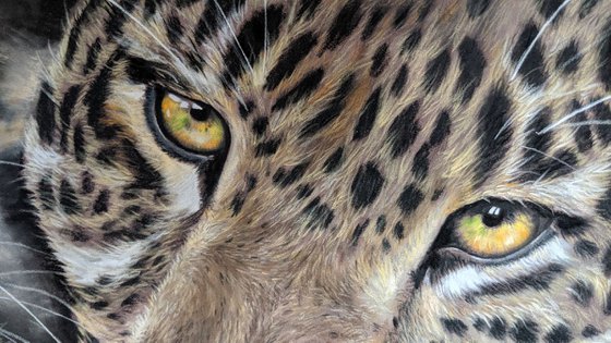 Leopards Gaze II (Original Painting)