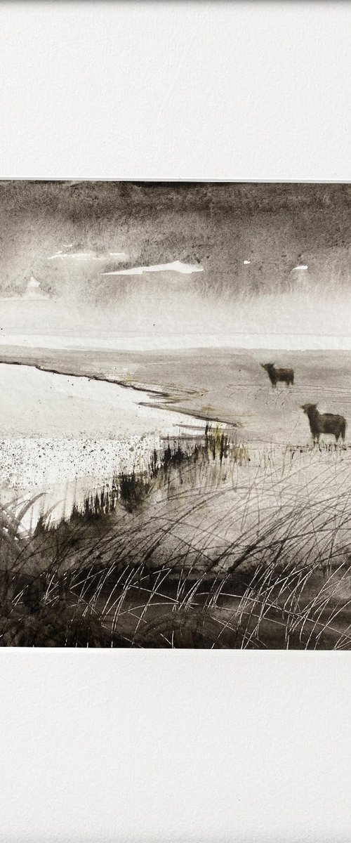 Monochrome Highland Cattle Marshes by Teresa Tanner