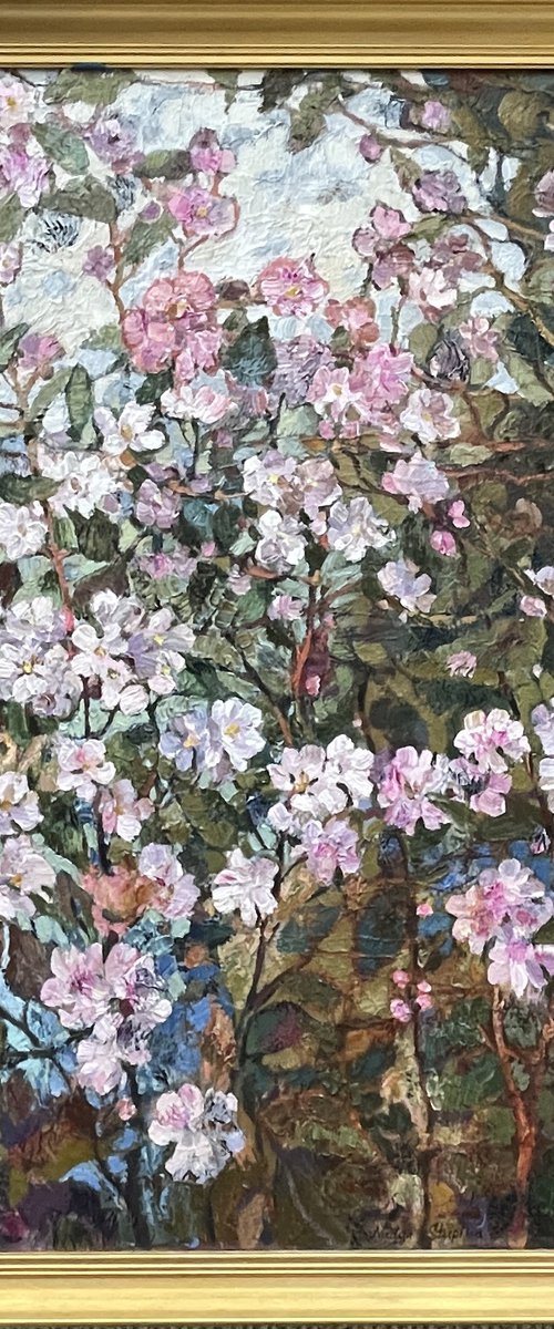 Flowering by Nadezda Stupina