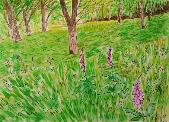 Foxgloves Forest - 7.9 x 5.9