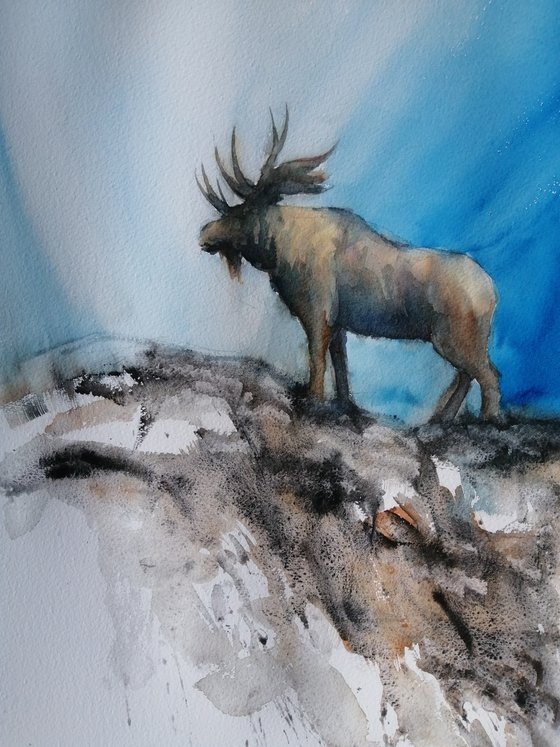 elk 2