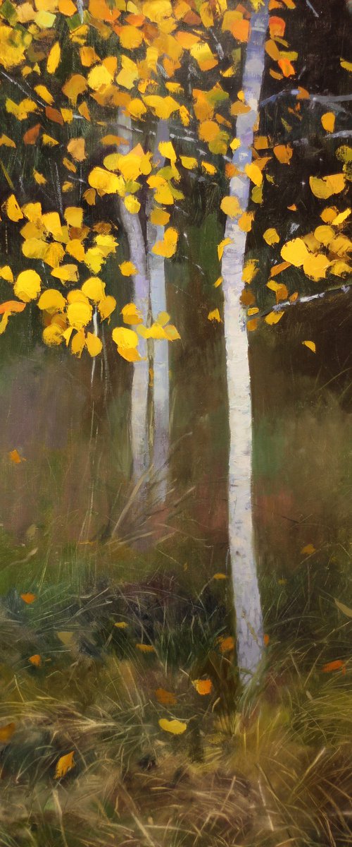 Golden aspens by Daniil Mikhailov