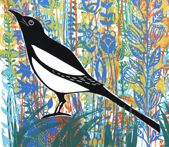 Magpie Dreams
