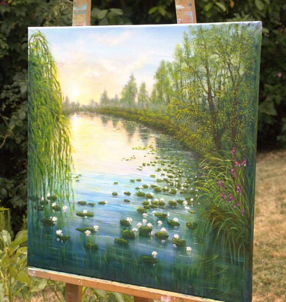 Serene lily pond