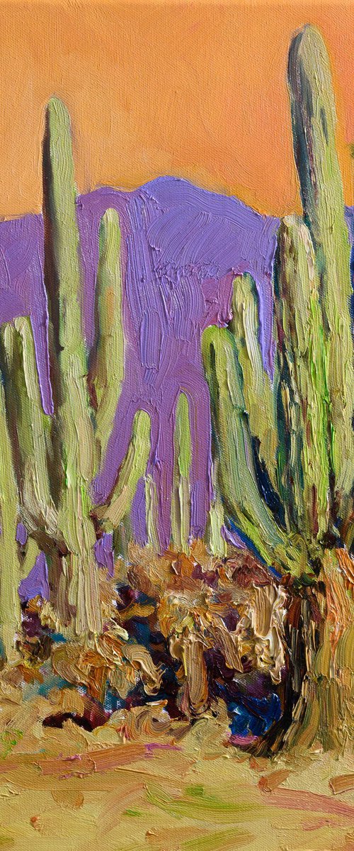 Saguaro. Desert Evening by Suren Nersisyan