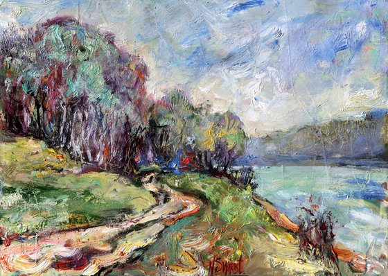 Road to the Dniester River