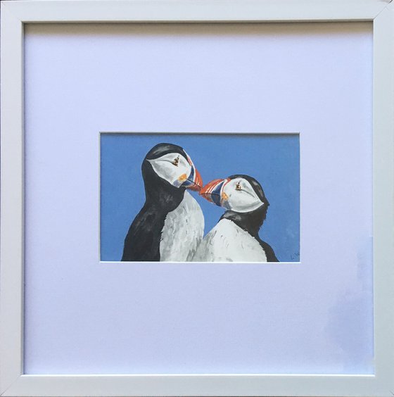 Kissing Puffins