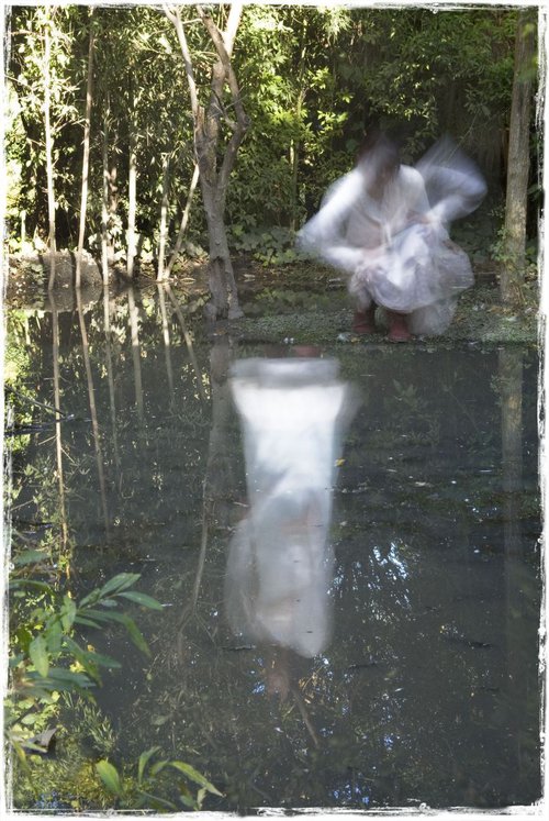 Reflection in Pond by Louise O'Gorman