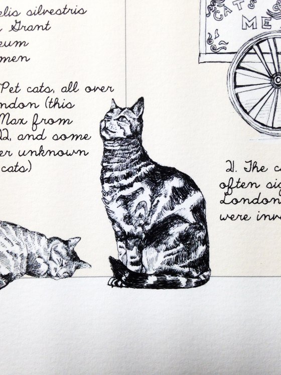 The London Cat Map