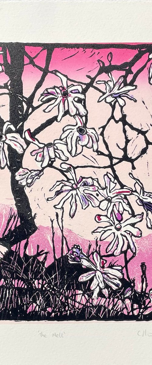 Linocut Print - The Melt 1 of 10 - Magnolia Blossom Linocut Print by C Staunton
