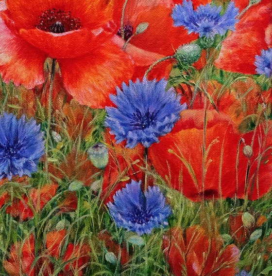 Poppies with cornflowers.