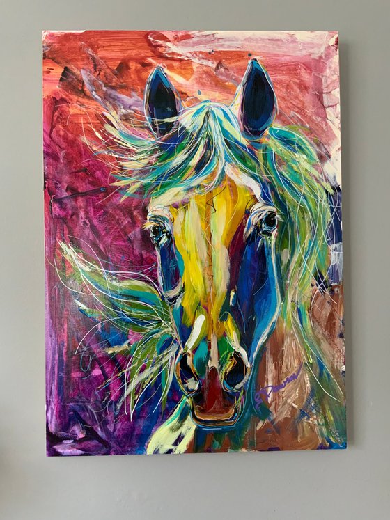 Colourful Horse portrait