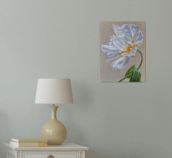 White tulip