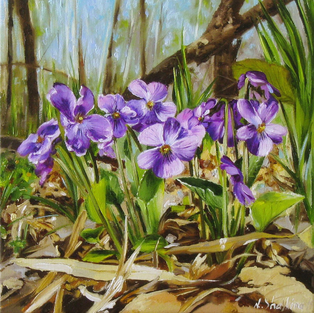Photorealistic Botanical Oil Painting By Natalia Shaykina, 12 X 12", Violets In Spring Forest, Original Artwork