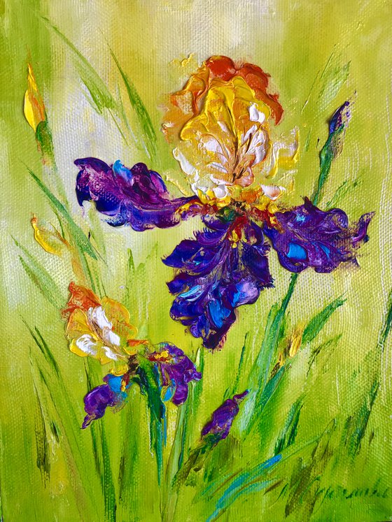 BRIGHT BLUE IRIS - Lovely flowers. Field irises. Summer day. Petals. Nature. Greenery. Beauty.