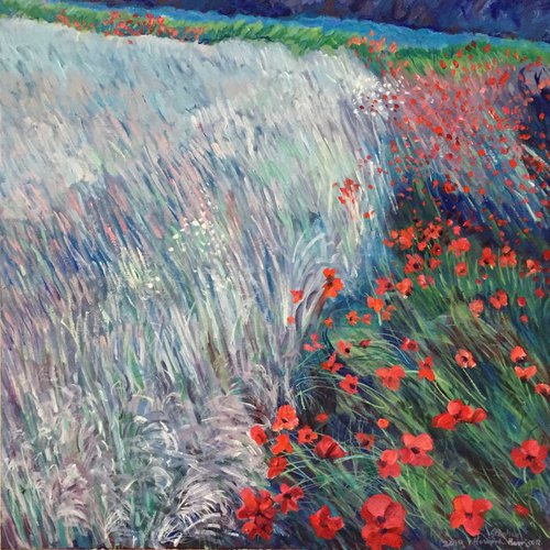 Edge Of Field Poppies by Stephen Howard Harrison