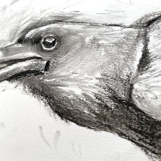 Charcoal Raven #04