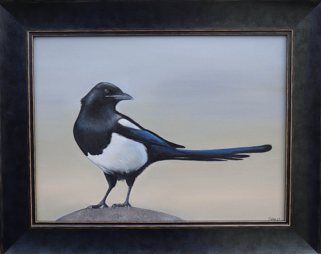 Magpie in the Early Morning Light Oil painting by Alex Jabore