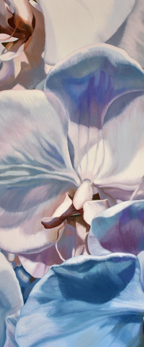 White Orchids by Chloe Hedden