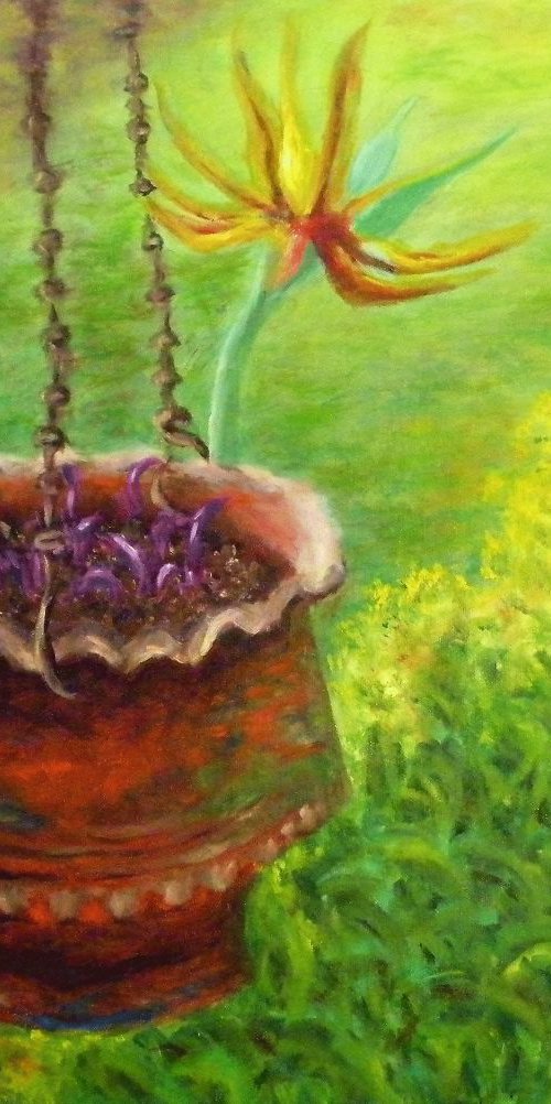 Hanging flower pot by Uma  Krishnamoorthy