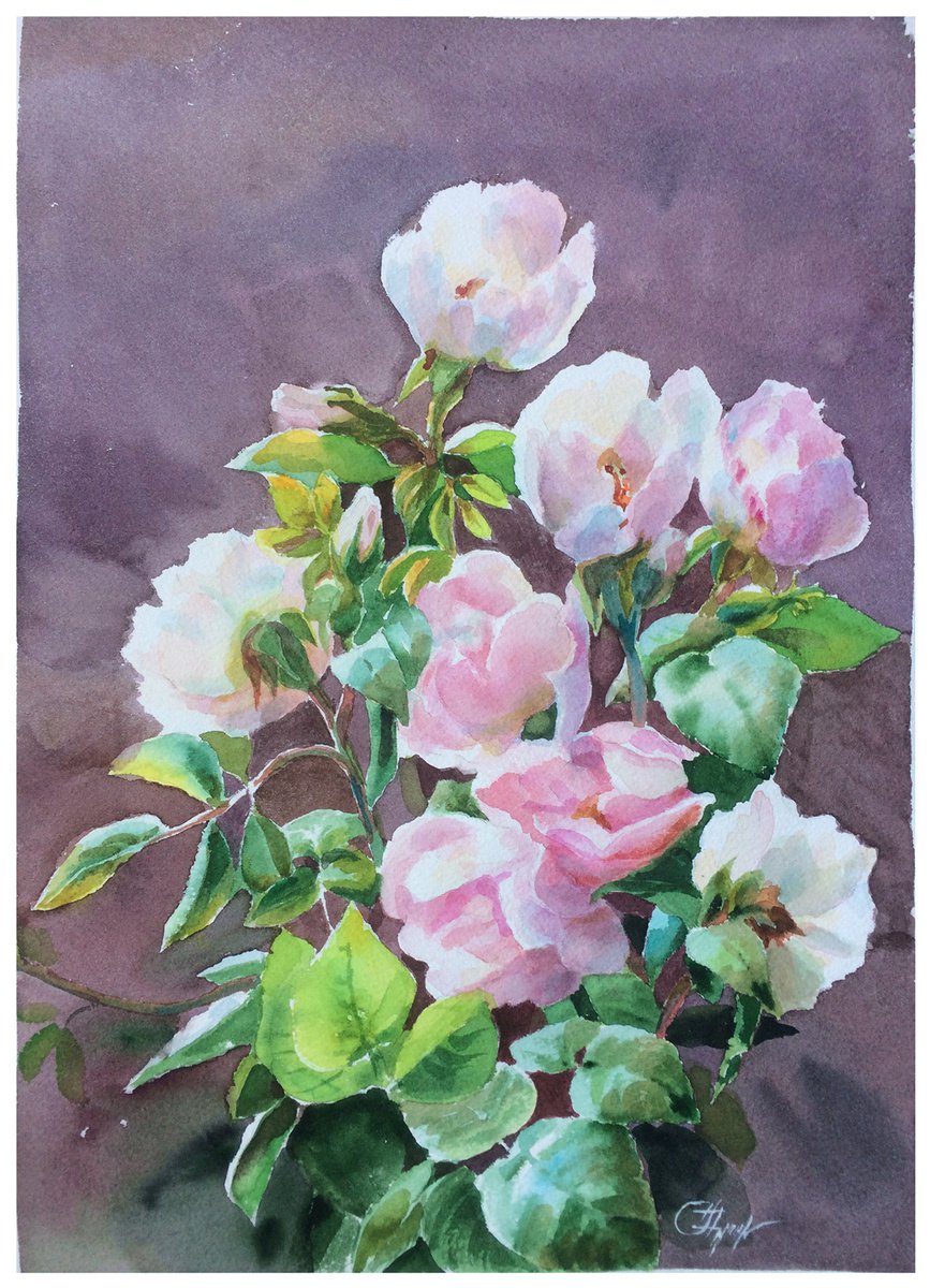 rosehip flowers by Svitlana Druzhko