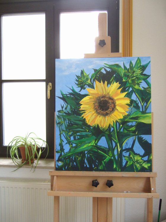 Sunflower